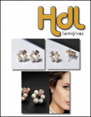 Brincos Círcuos de Pérolas